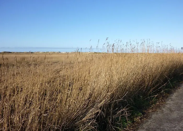 Nis Randers Appartamento Sankt Peter-Ording